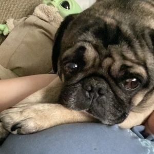 Meet your Posher, Candice lynn